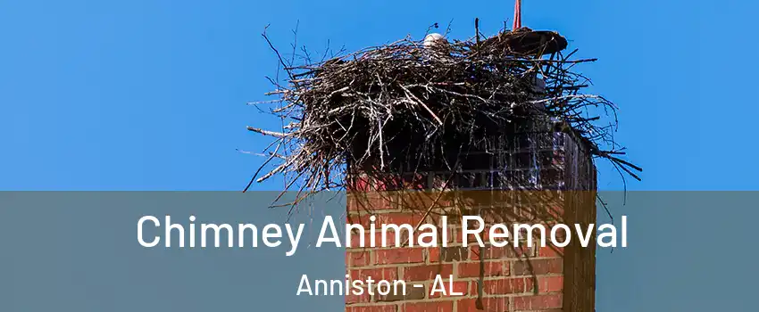 Chimney Animal Removal Anniston - AL