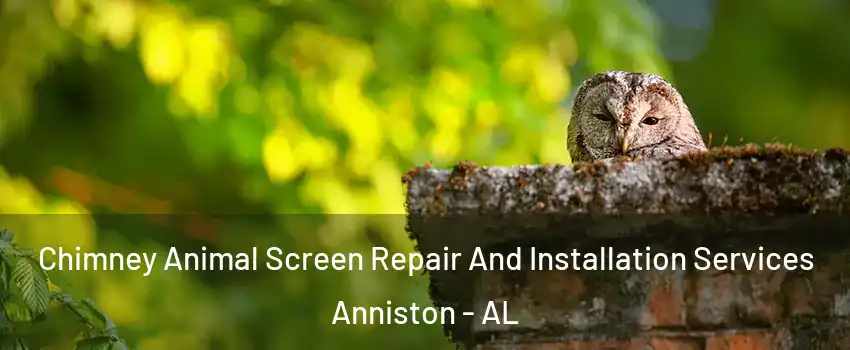  Chimney Animal Screen Repair And Installation Services Anniston - AL