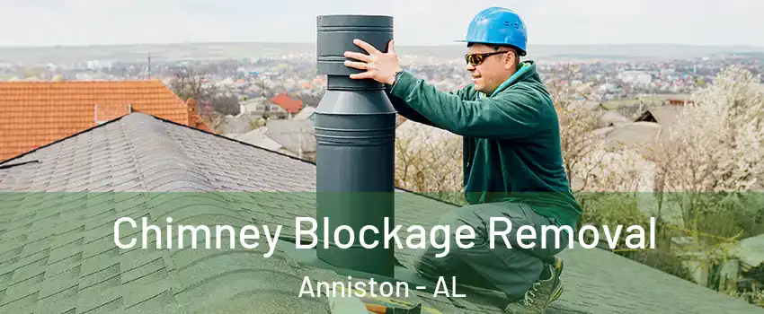  Chimney Blockage Removal Anniston - AL