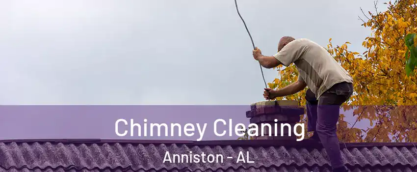  Chimney Cleaning Anniston - AL