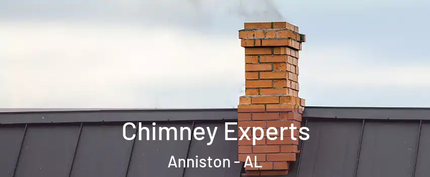Chimney Experts Anniston - AL