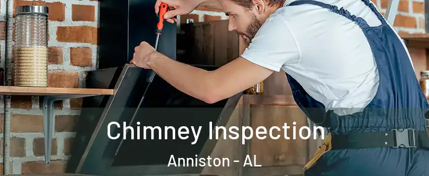  Chimney Inspection Anniston - AL