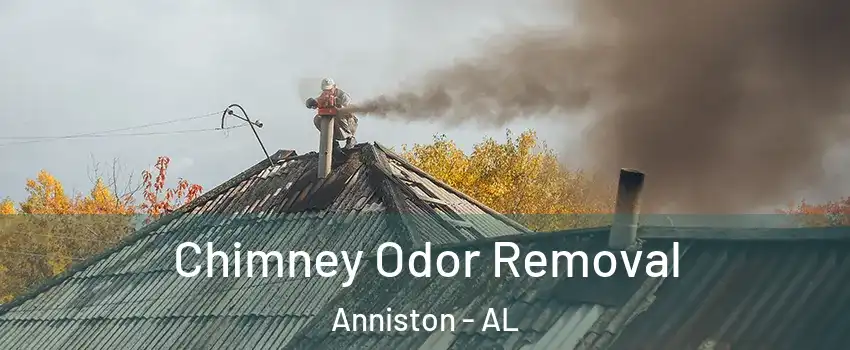  Chimney Odor Removal Anniston - AL