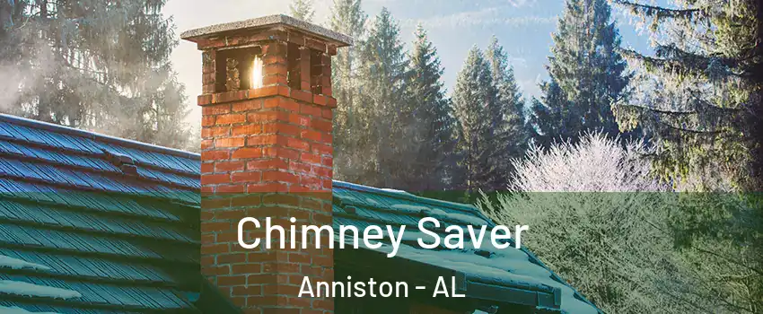  Chimney Saver Anniston - AL