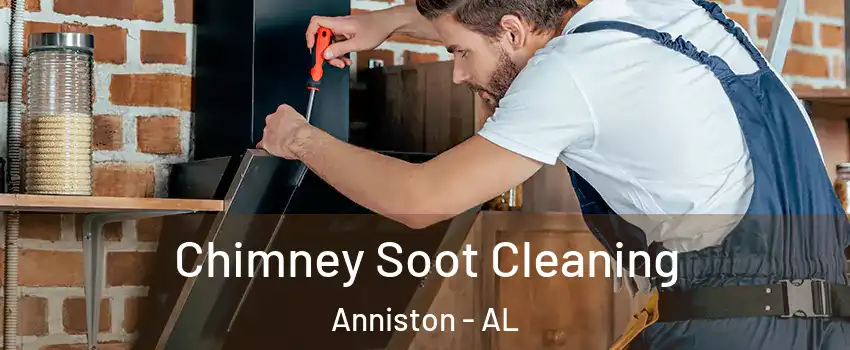  Chimney Soot Cleaning Anniston - AL
