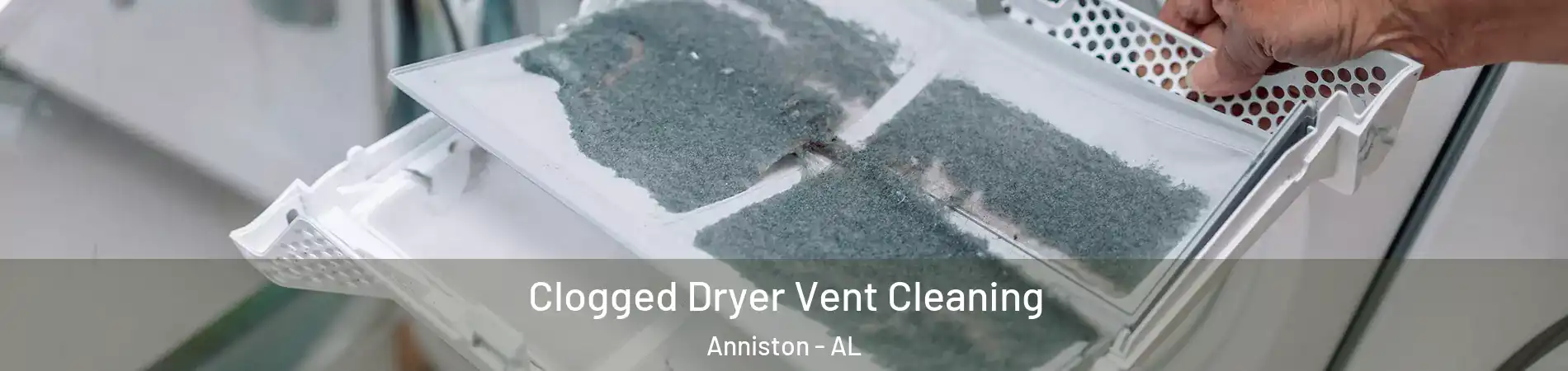  Clogged Dryer Vent Cleaning Anniston - AL