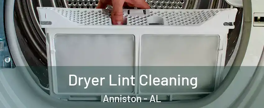  Dryer Lint Cleaning Anniston - AL