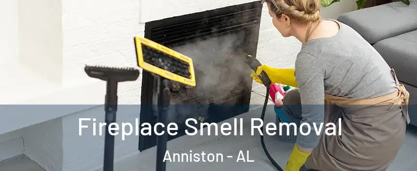  Fireplace Smell Removal Anniston - AL
