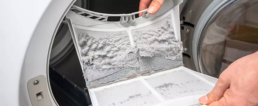 Best Dryer Lint Removal Company in Anniston, Alabama