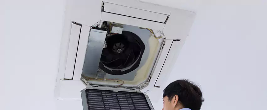 Benefits of Professional Air Duct Cleaning in Anniston, Alabama