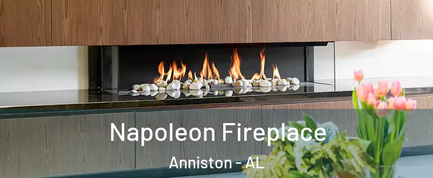  Napoleon Fireplace Anniston - AL